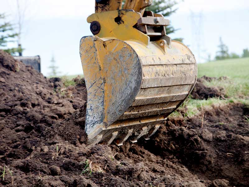 Preparing Your Site for Excavation!