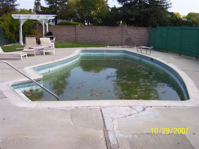 pool ownership cost