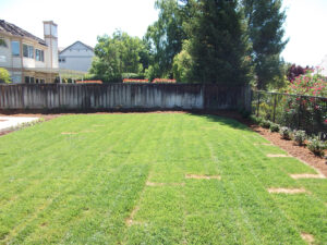 Lassiter Excavating pool removal before after 32